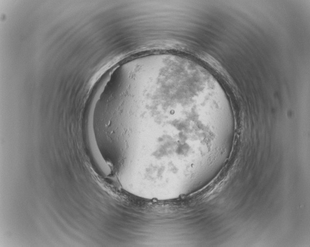 X0000061740834200512302209