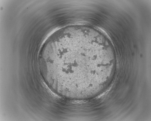 X0000061740835200512302209