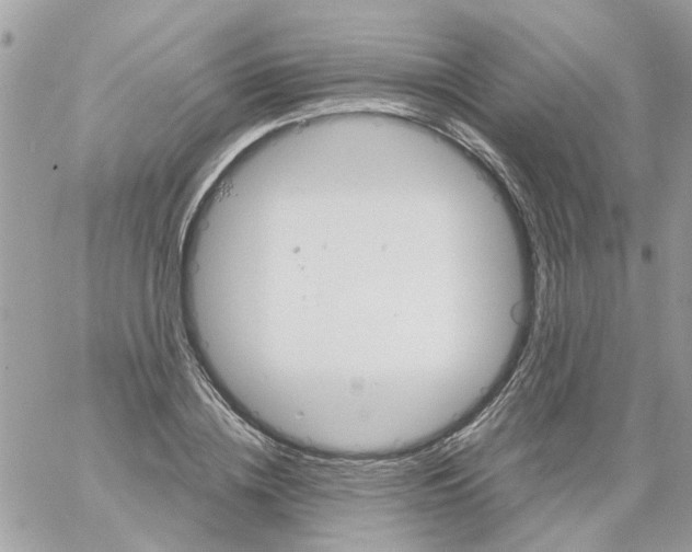 X0000061740836200512302209