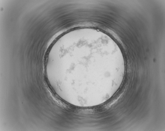 X0000061740837200512302209