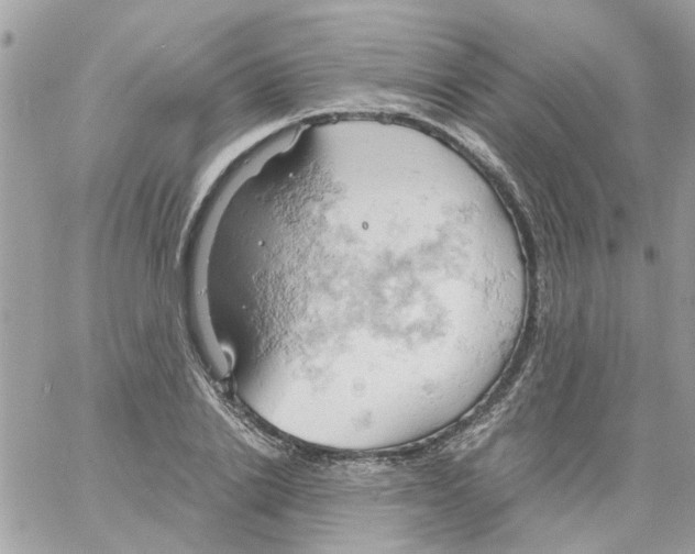 X0000061740838200512302209