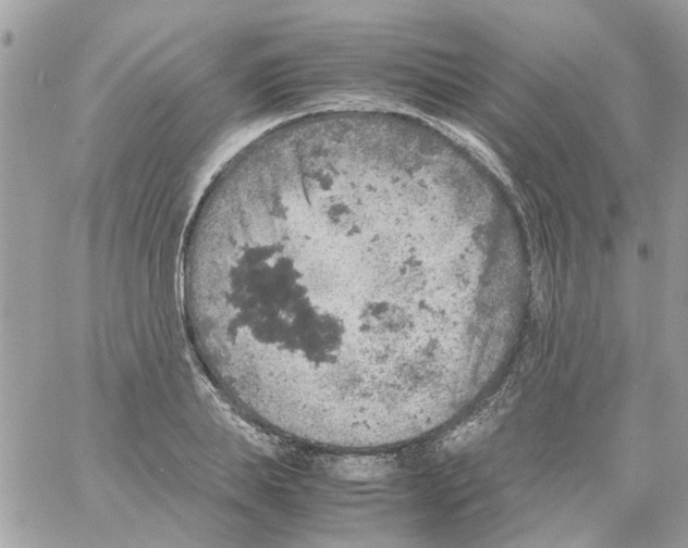 X0000061740839200512302209