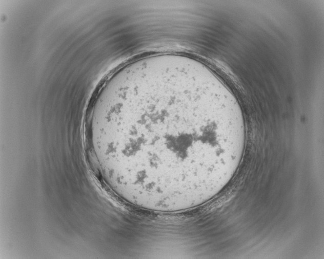 X0000061740840200512302209