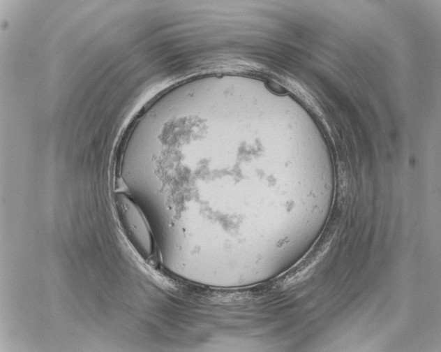 X0000061740843200512302209