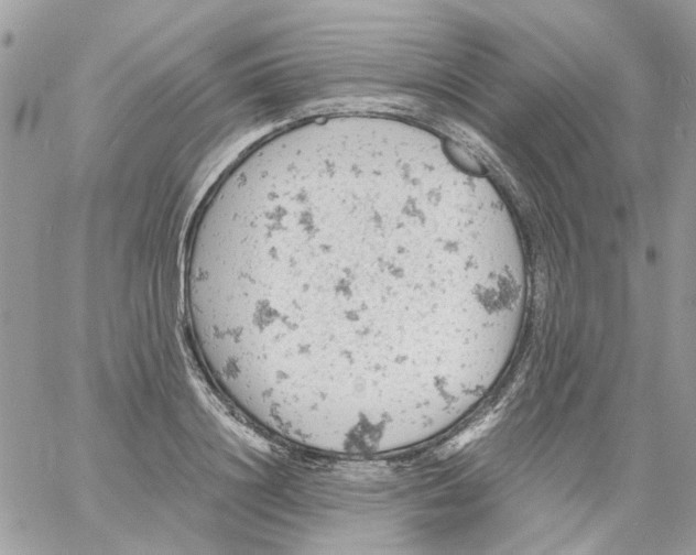 X0000061740844200512302209