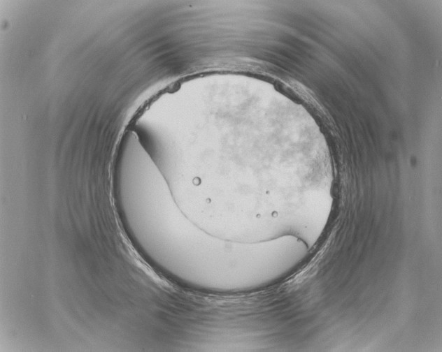 X0000061740846200512302209