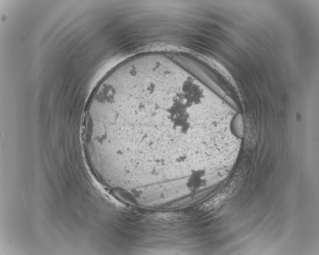 X0000061740847200512302209