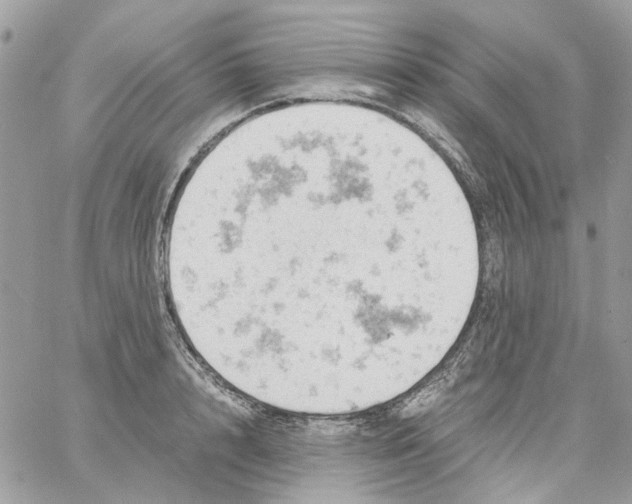 X0000061740848200512302209