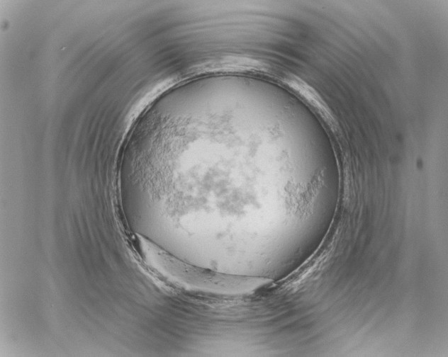 X0000061740850200512302210