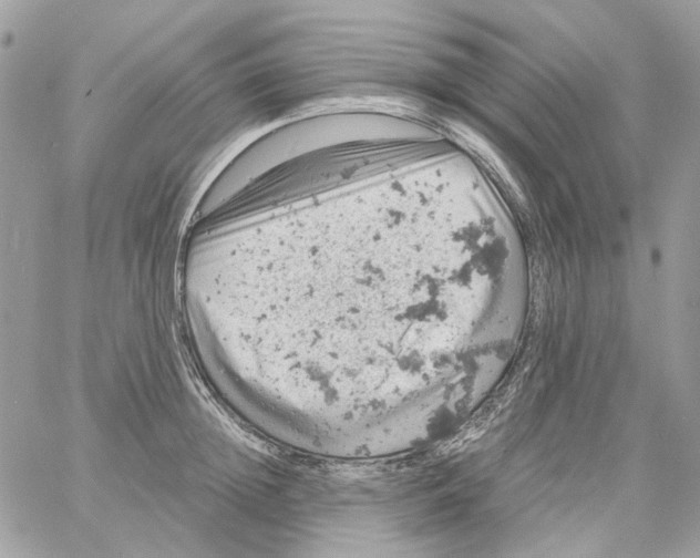 X0000061740852200512302210