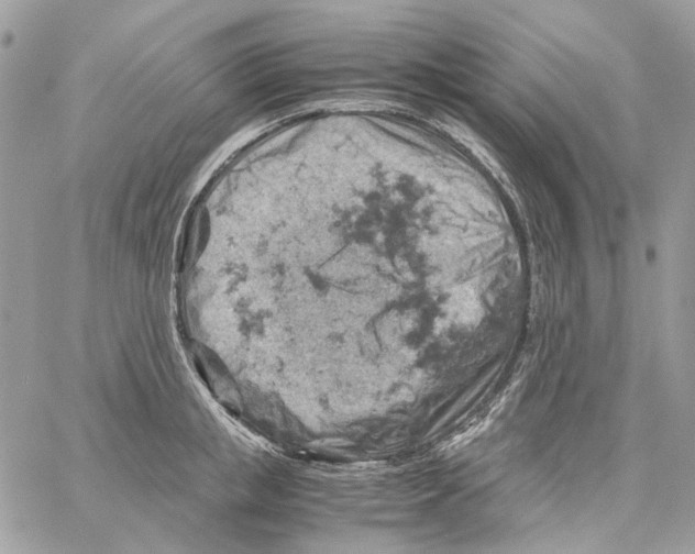 X0000061740853200512302210