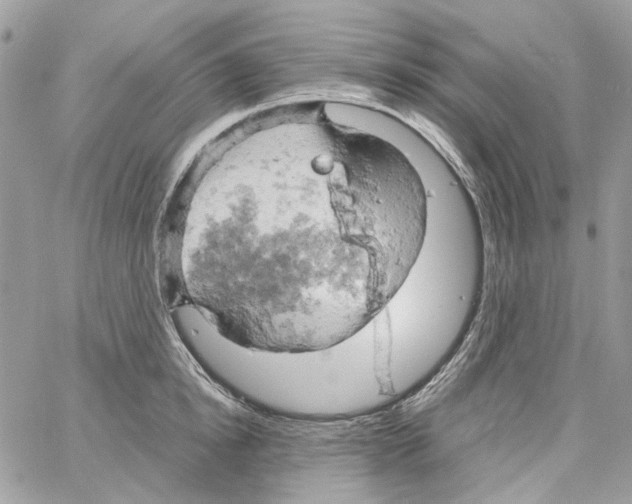 X0000061740854200512302210