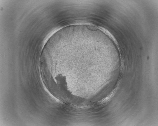 X0000061740855200512302210