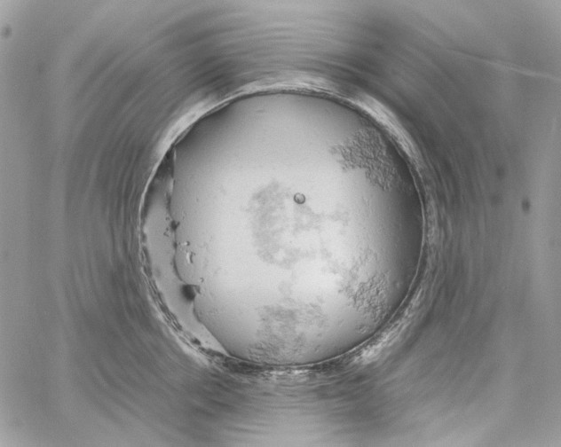 X0000061740858200512302210