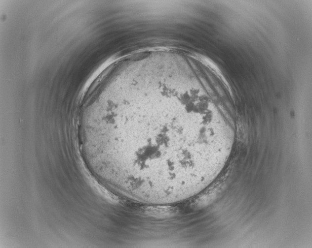 X0000061740859200512302210