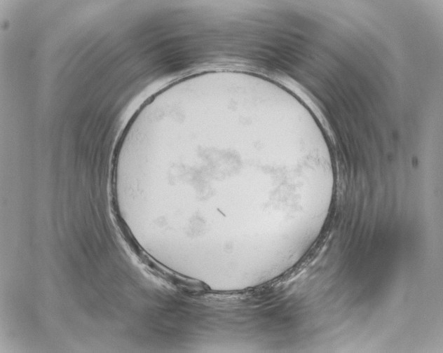 X0000061740861200512302210