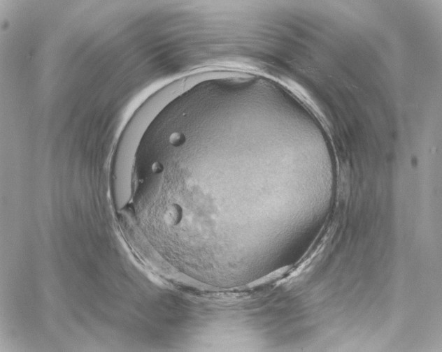 X0000061740862200512302210