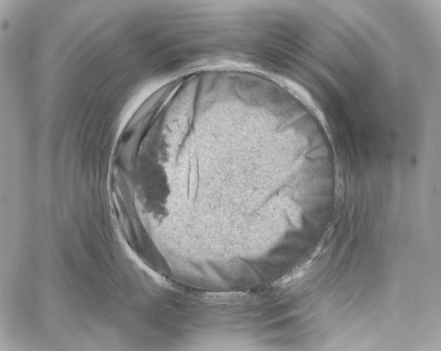 X0000061740863200512302210