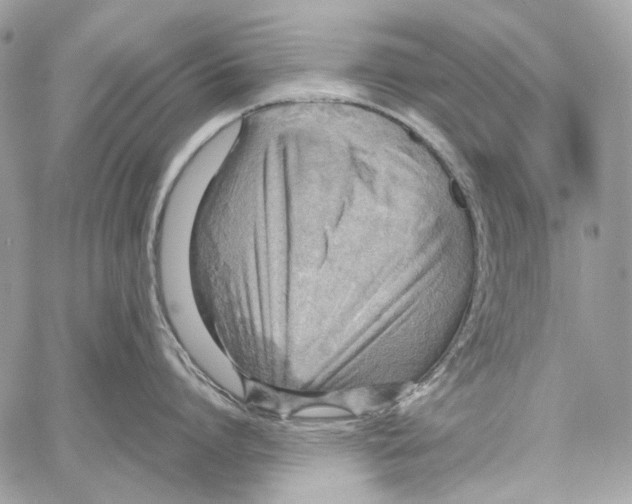 X0000061740864200512302210