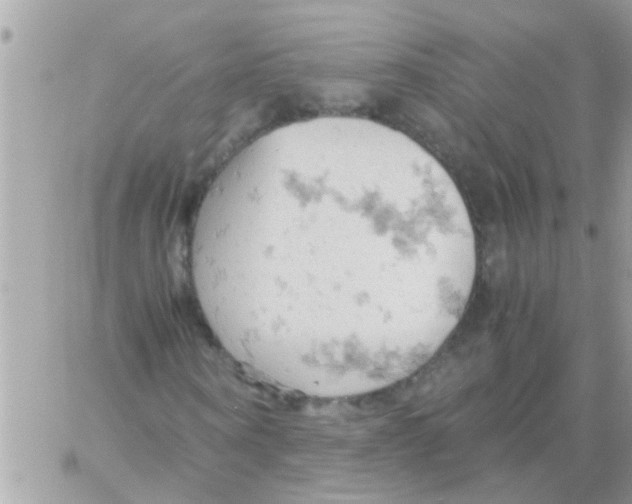 X0000061740866200512302209