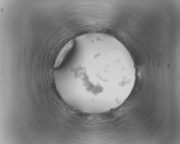 X0000061740867200512302209