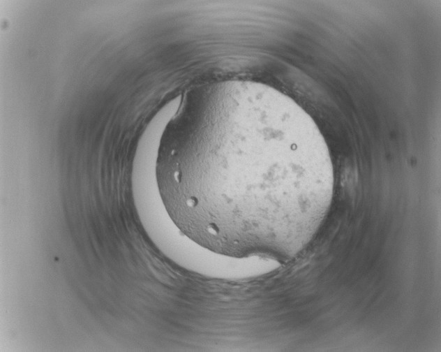 X0000061740868200512302209