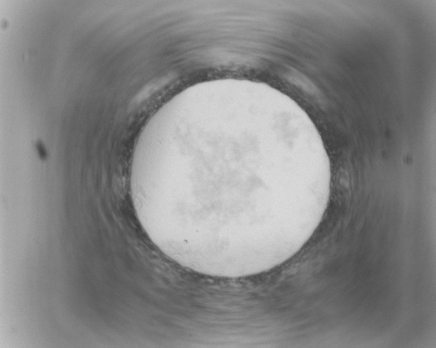 X0000061740869200512302209