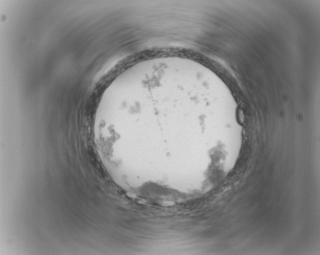 X0000061740871200512302209