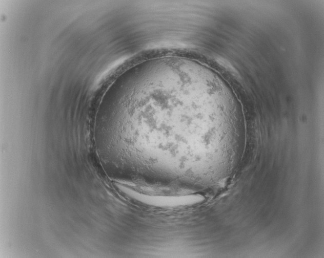 X0000061740872200512302209