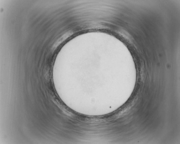 X0000061740873200512302209