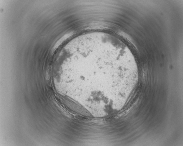 X0000061740874200512302209