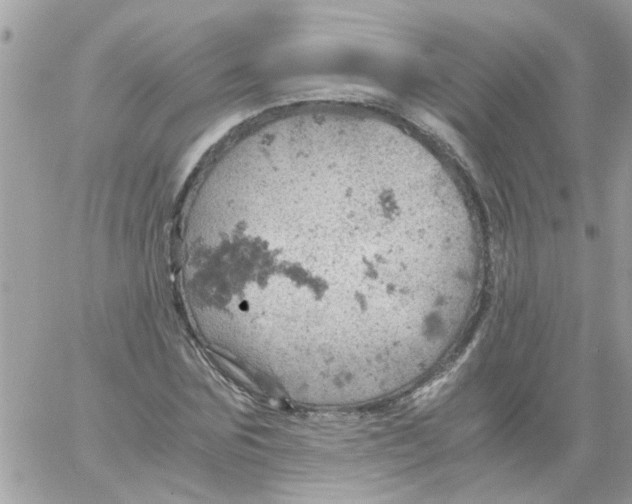 X0000061740875200512302209