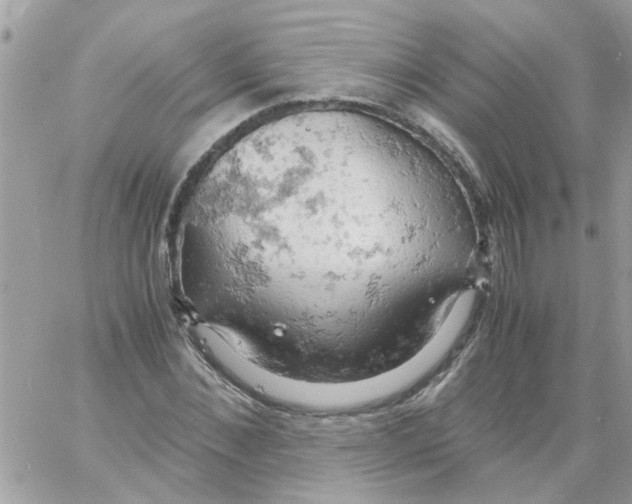 X0000061740876200512302209