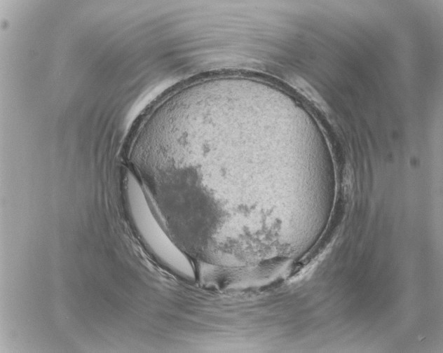 X0000061740877200512302209