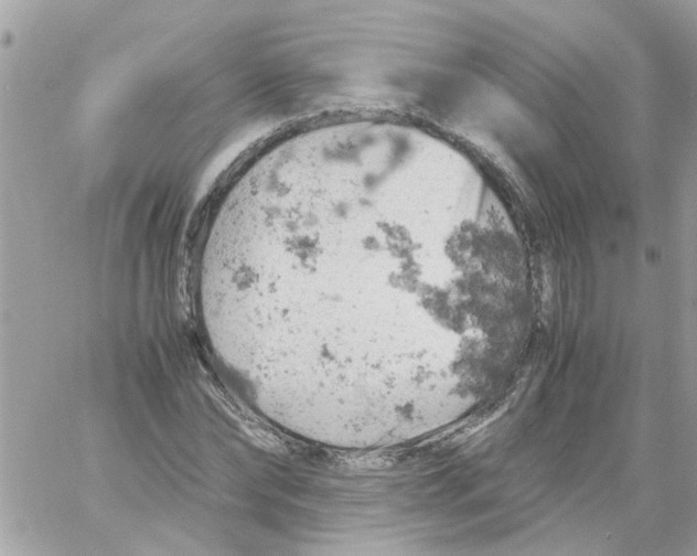 X0000061740878200512302209