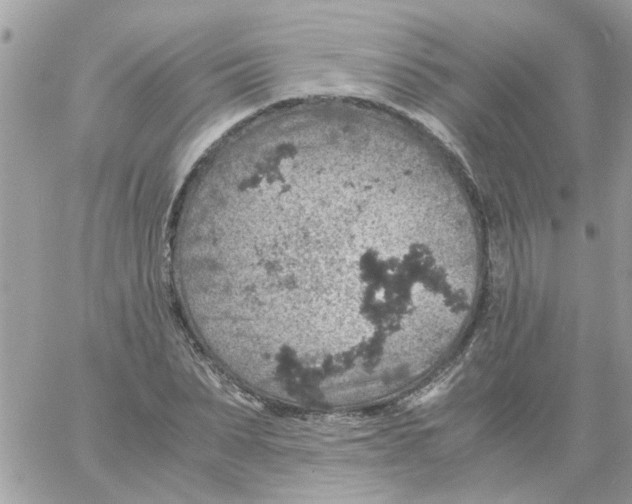 X0000061740879200512302209