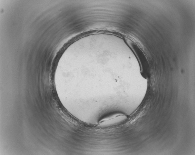 X0000061740880200512302209