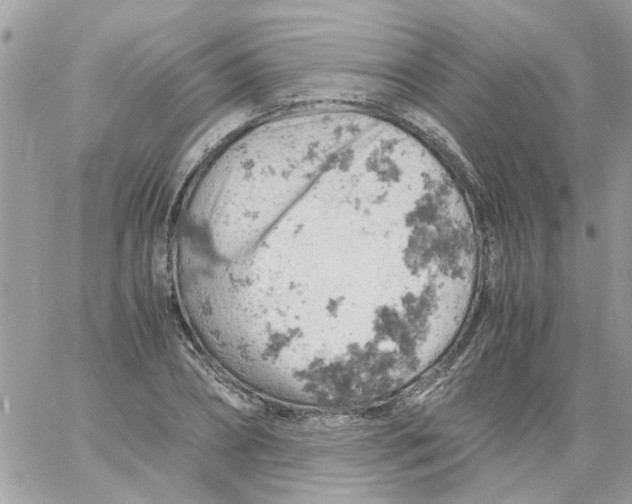 X0000061740882200512302209