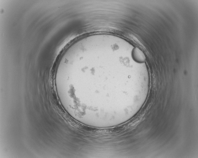 X0000061740883200512302209