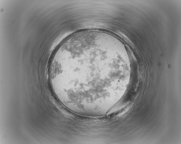 X0000061740885200512302209