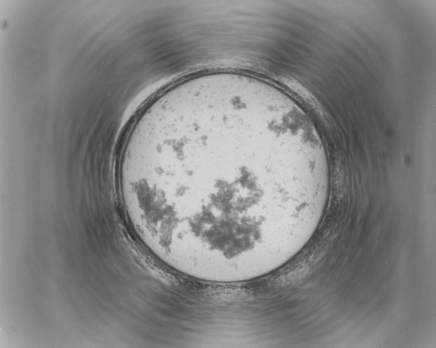 X0000061740886200512302209