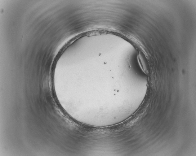 X0000061740888200512302209