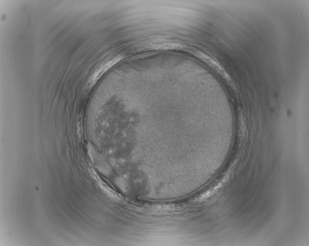 X0000061740889200512302209