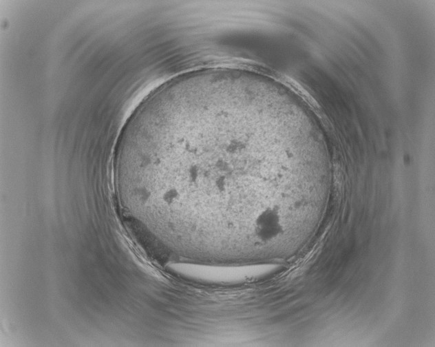 X0000061740891200512302208