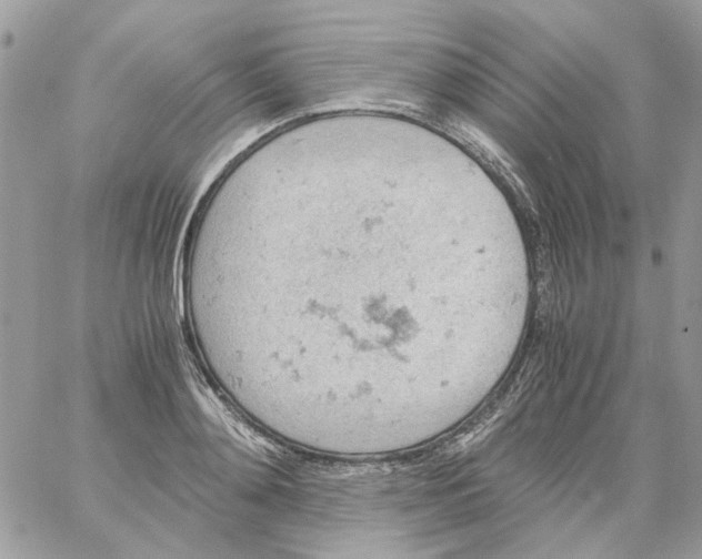 X0000061740892200512302208