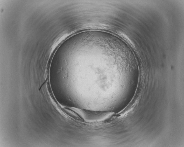 X0000061740893200512302208