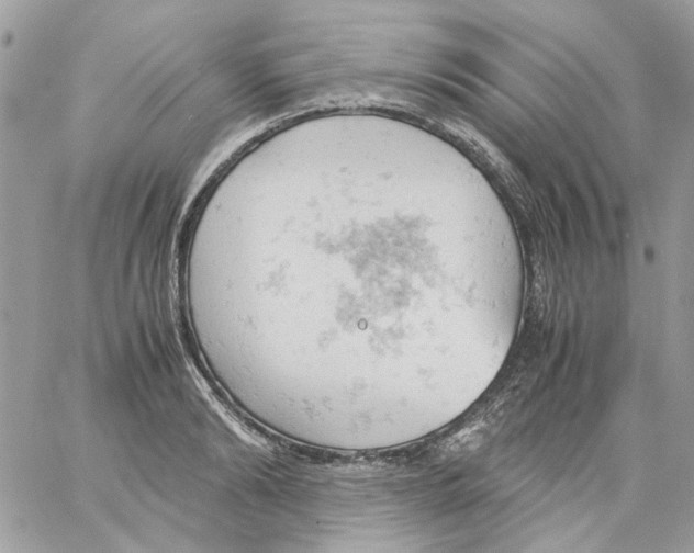 X0000061740894200512302208