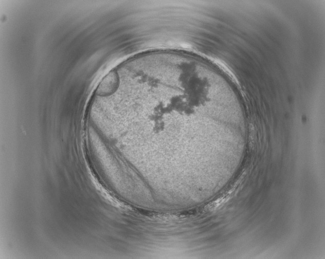 X0000061740895200512302208