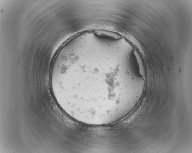 X0000061740896200512302208