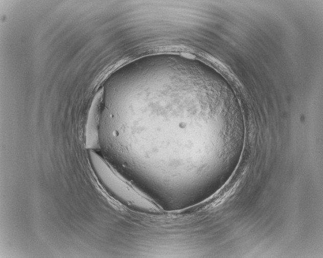 X0000061740897200512302208